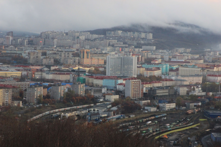 В Мурманске примут меры после обращения северян Мурманск, деревья