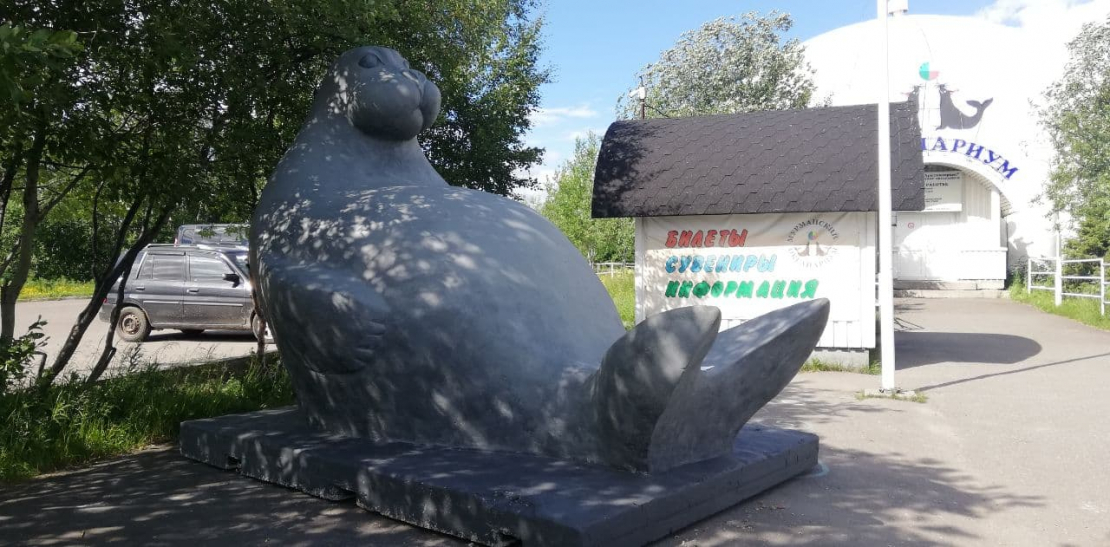 В Мурманске появился «брат» Ждуна, фото Памятник тюленю