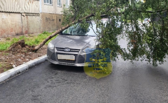 Водителя в Мурманске ждет неприятный сюрприз Машина