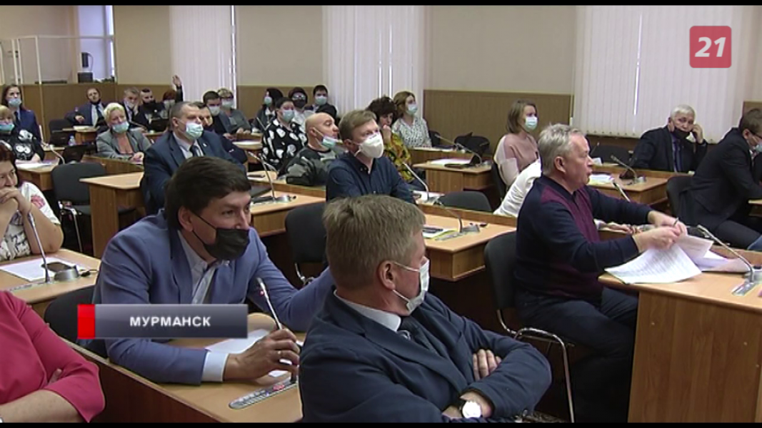 В Мурманске обсудили проблему бездомных животных Круглый стол