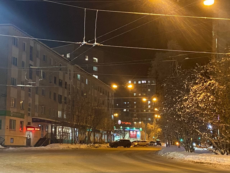 В Мурманске будут бороться с опасным вредителем Город
