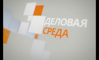 Деловая среда
