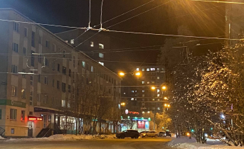 В Мурманске будут бороться с опасным вредителем Город