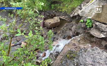 В Мурманске забили тревогу из-за ситуации на водоеме Мурманск