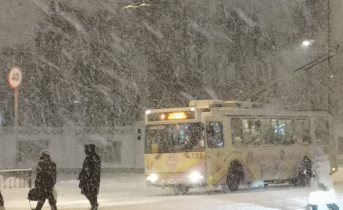 В школе в Мурманской области отменили занятия из за-непогоды Метель
