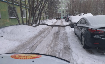Неожиданное препятствие появилось во дворе в Мурманске Рухнувшее дерево
