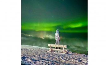 Россиянка победила в мировом конкурсе мобильной фотографии Северное сияние