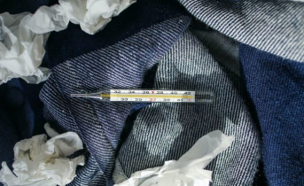 163 заразились, 9 умерли: статистика по коронавирусу в Мурманской области Градусник