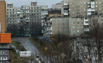 Тревожная находка во дворе Мурманска. Северяне опасаются, что рядом с ними живодёр Тревожная находка во дворе Мурманска. Северяне опасаются, что рядом с ними живодёр