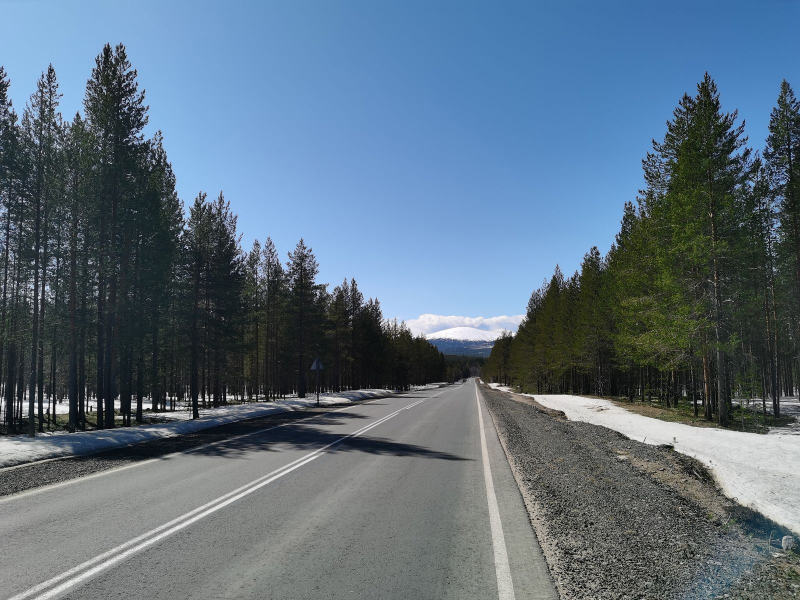 Ограничение скорости Дорога