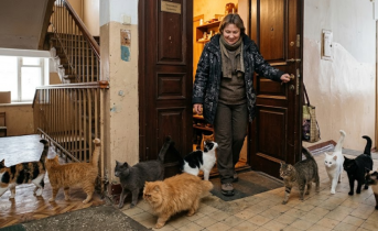 Женщину с десятью кошками выселили из квартиры