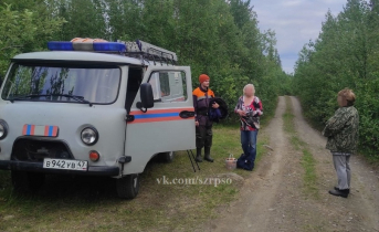 В Мурманской области рассказали о поисках заблудившейся пенсионерки Поиски