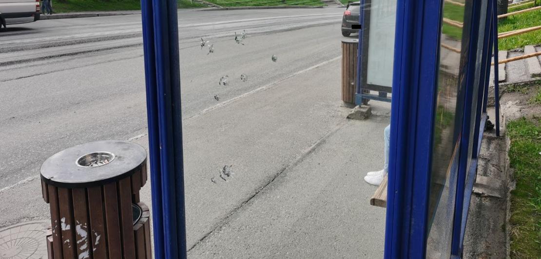 Вандализм