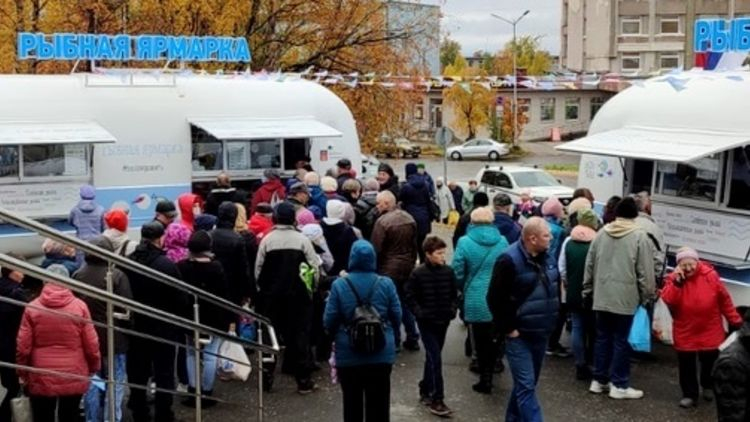 Стали известны подробности проведения масштабной ярмарки в Мурманской области Наша рыба