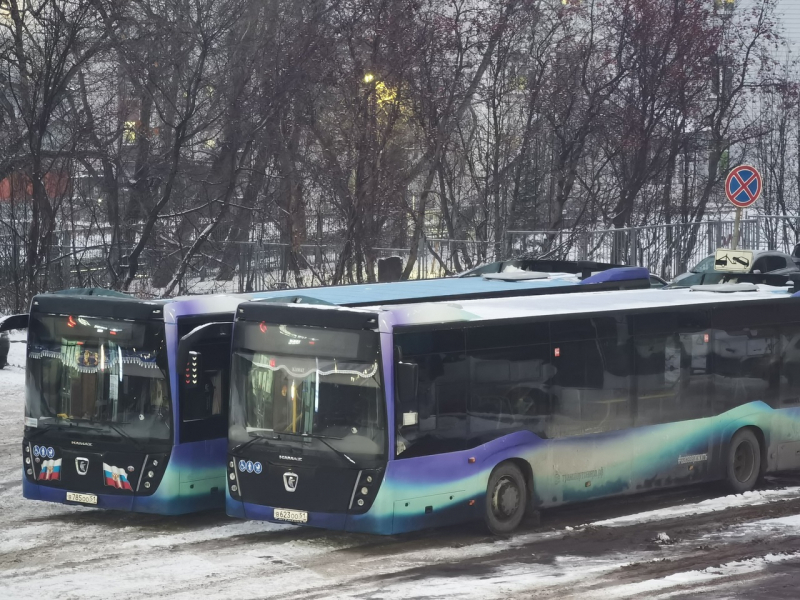 Стало известно новогоднее расписание автобусов в Заполярье Стало известно новогоднее расписание автобусов в Заполярье
