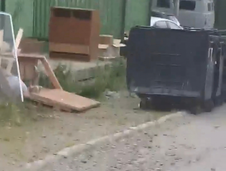 Страшную картину наблюдали северяне во дворе в Мурманской области Страшную картину наблюдали северяне во дворе в Мурманской области