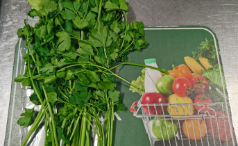 Северянам рассказали про удивительные свойства продукта Петрушка