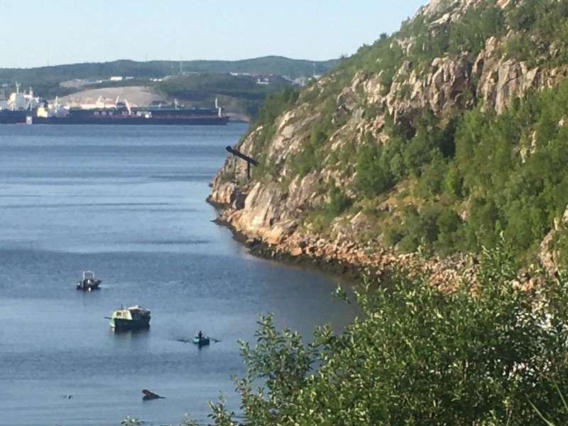 Погода в Мурманской области Природа