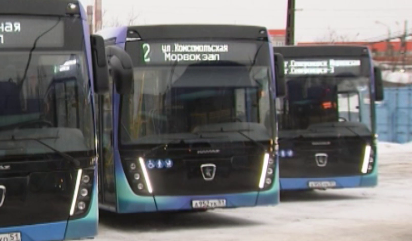 В Мурманской области появится 130 новых автобусов и троллейбусов Автобусы