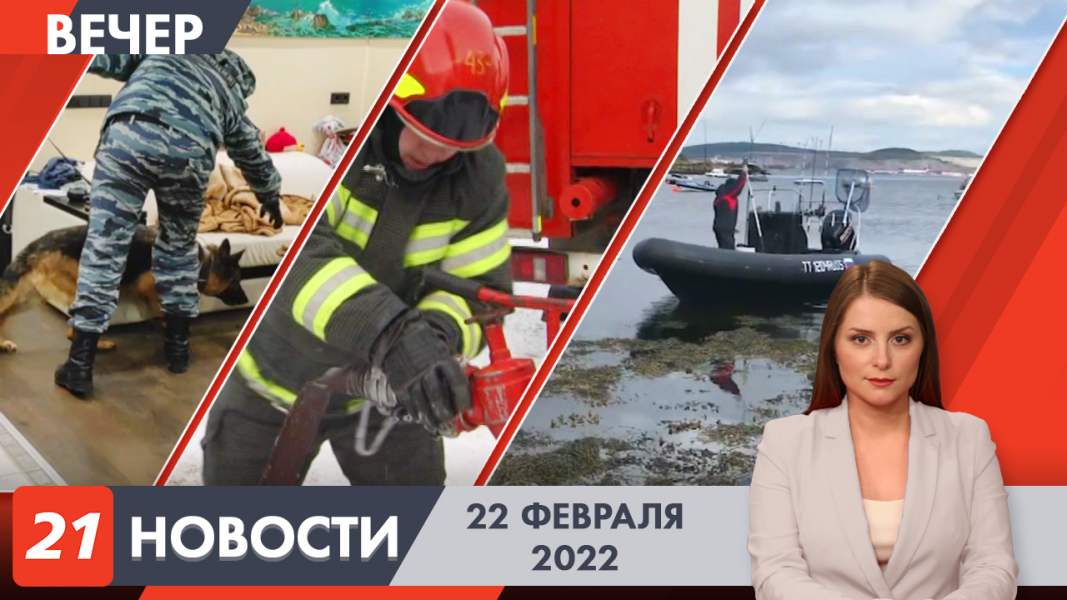 Вечерние новости
