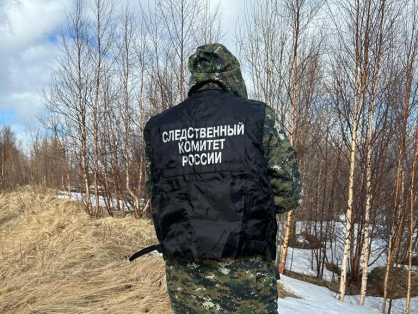 Расследование жуткого убийства завершено. Следователь