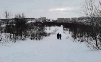 14-летняя девочка пропала в Мурманске 14-летняя девочка пропала в Мурманске