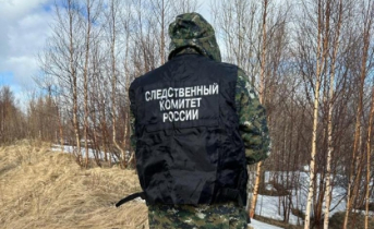 Расследование жуткого убийства завершено. Следователь