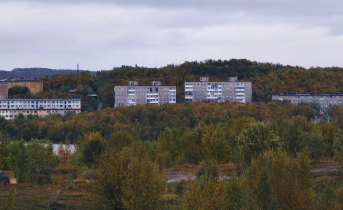 В Мурманске задержали 35 злоумышленников Мурманск