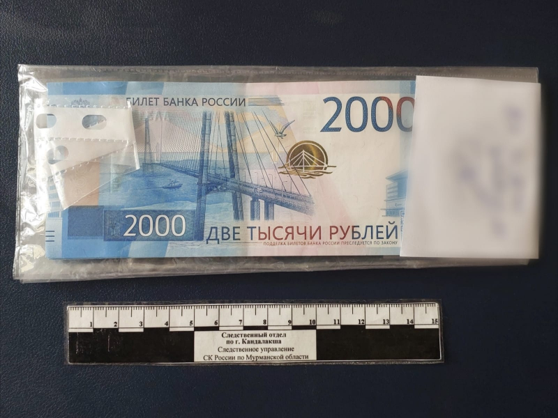 Коррупционера поймали в Мурманской области Купюра