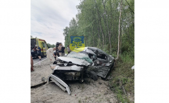 Стали известны подробности жесткой аварии в районе Туломы ДТП