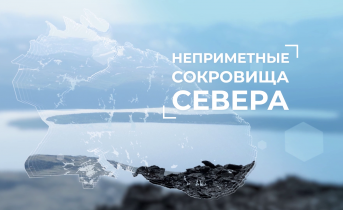 Неприметные сокровища Севера. 4 серия Неприметные сокровища Севера. 4 серия
