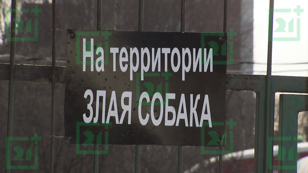 Убитая горем северянка рассказала о трагедии в Мурманске Убитая горем северянка рассказала о трагедии в Мурманске