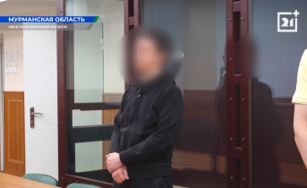 Северянин прокомментировал посты и получил срок Задержанный