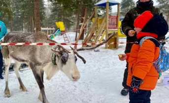 Олень