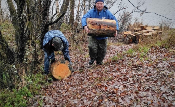 Корпоративные волонтеры «Комбината добра» делятся опытом с молодежью Волонтеры