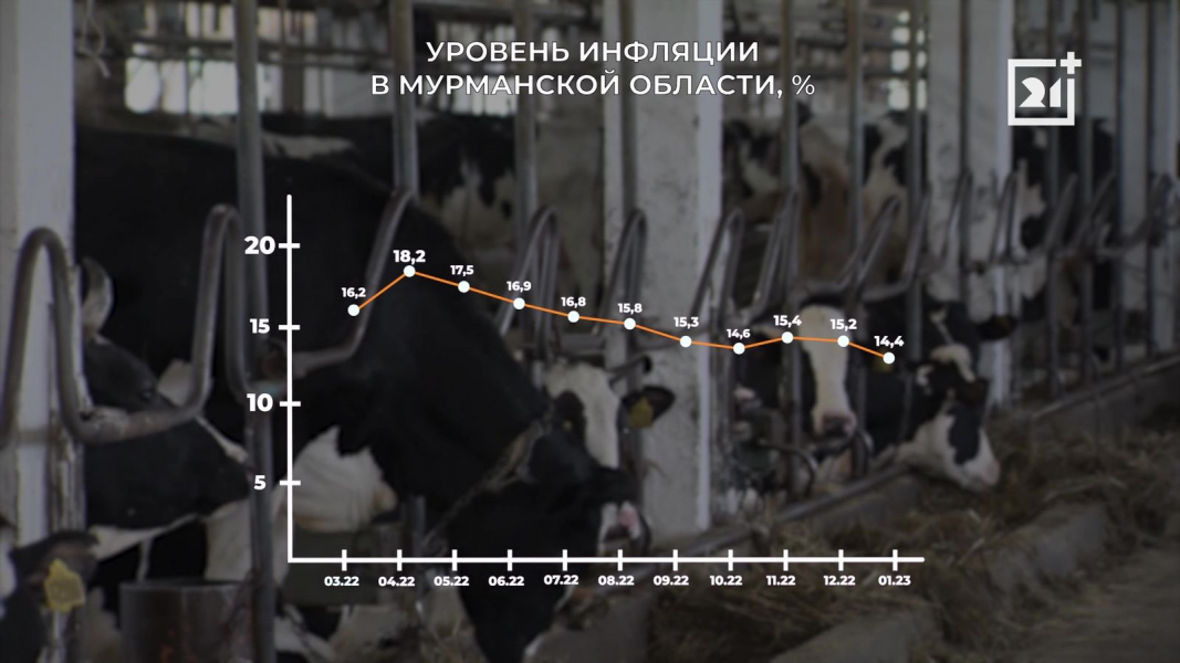 инфляция в Мурманской области
