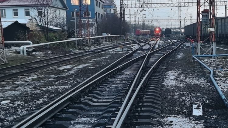 В двухэтажном поезде Мурманск - Санкт-Петербург появится вагон-бистро Железная дорога