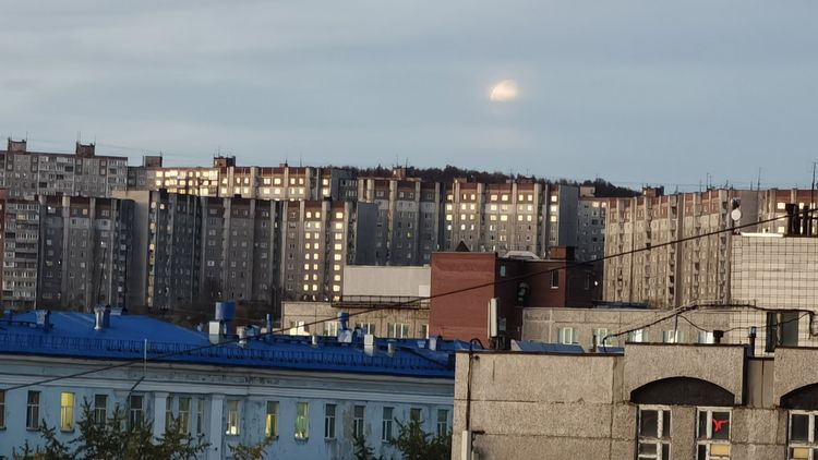 В магазине крупной торговой сети в Мурманске поймали серийного преступника Мурманск