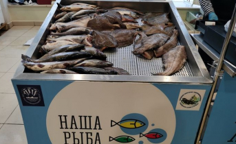 Популярная рыбная ярмарка открылась в Мурманской области Ярмарка «Наша рыба»