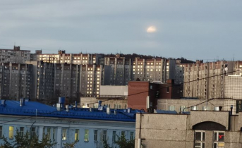 В магазине крупной торговой сети в Мурманске поймали серийного преступника Мурманск