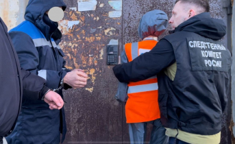 Мужчины приехали на заработки в Мурманскую область и отправились в тюрьму Мурманская область