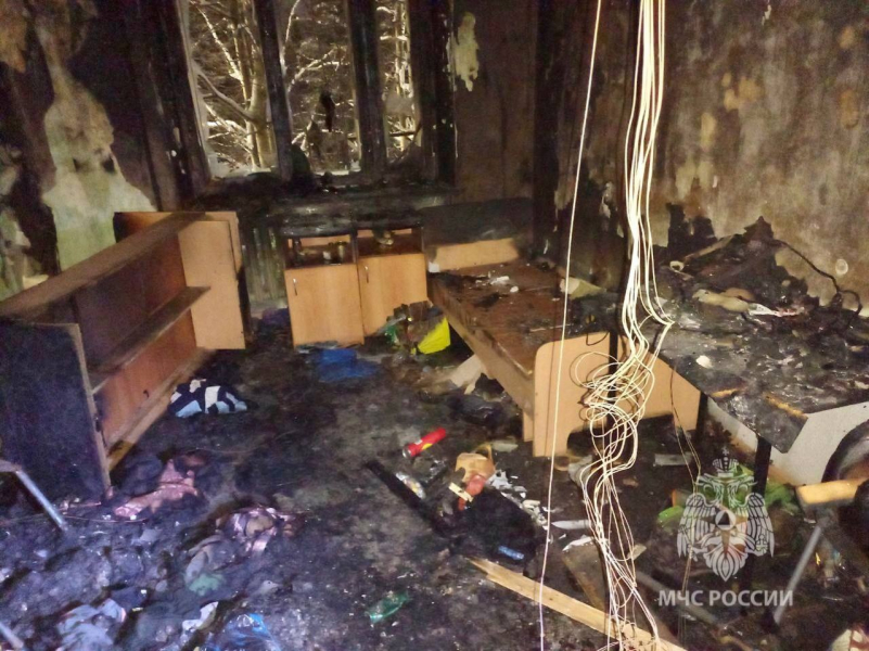 В пожаре погибла кошка в Мурманске Пожар