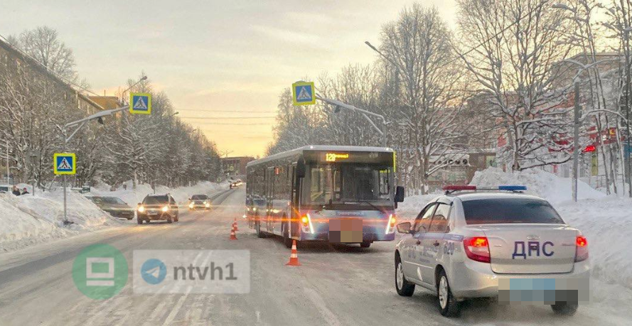 Сбитую автобусом девочку в Мурманской области госпитализировали Автобус