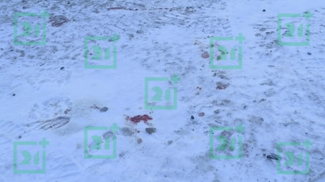 Жестокое убийство в Мурманской области Снег