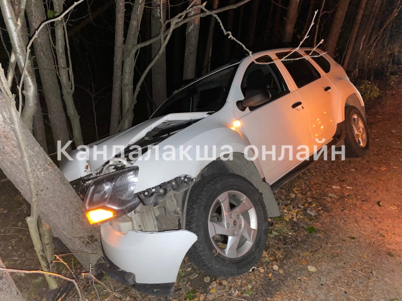 В Мурманской области внедорожник влетел в дерево Авария