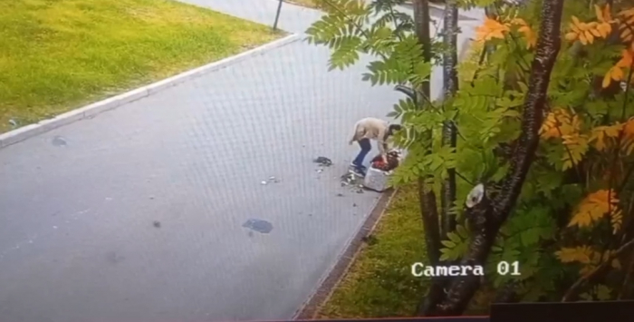 Вандалы