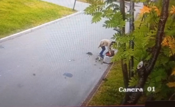 Вандалы