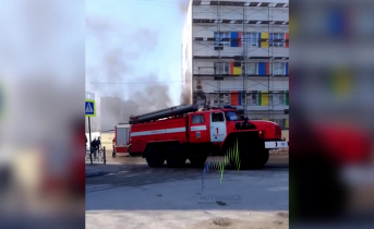 Пожарные
