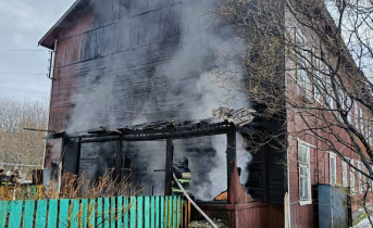 Крупный пожар с погибшими животными Пожар