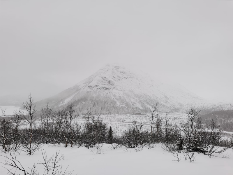 Ковдор